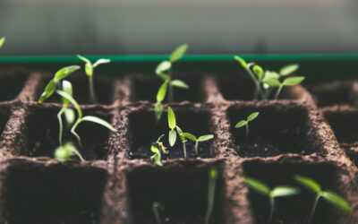How to Invest in Your Goals: Time, Money, and Mindset Strategies for Success