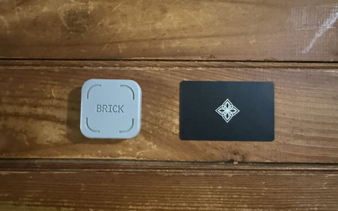 Two physical app blockers side by side: Brick vs Bloom