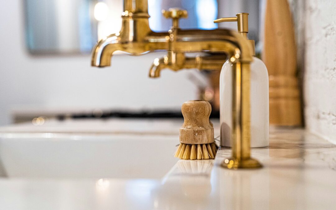 a dish scrubber sits at the edge of the sink, reminding us why you need to achieve your goals in every area of life