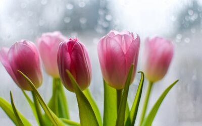 How to Overcome Obstacles to Reach Your Goals (Without Giving Up)